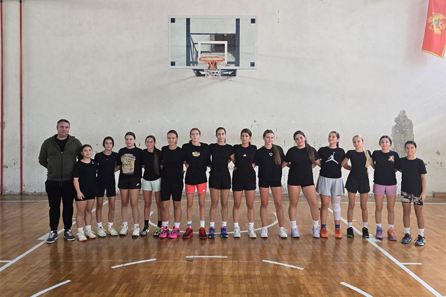 kosarkasice-daso-pavicic