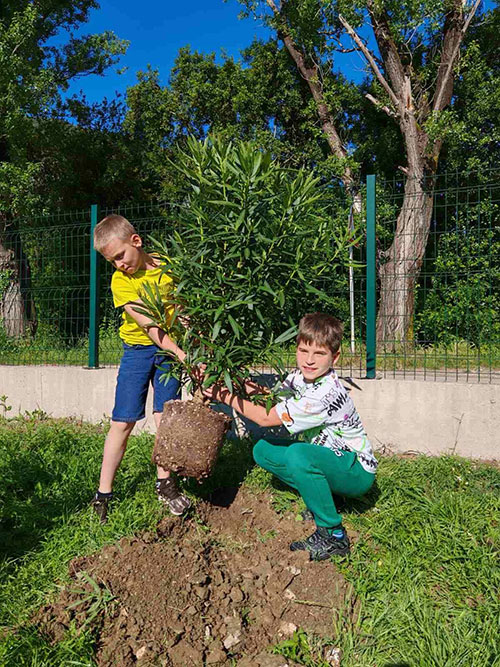 20 sadnica za 20 godina nezavisnosti
