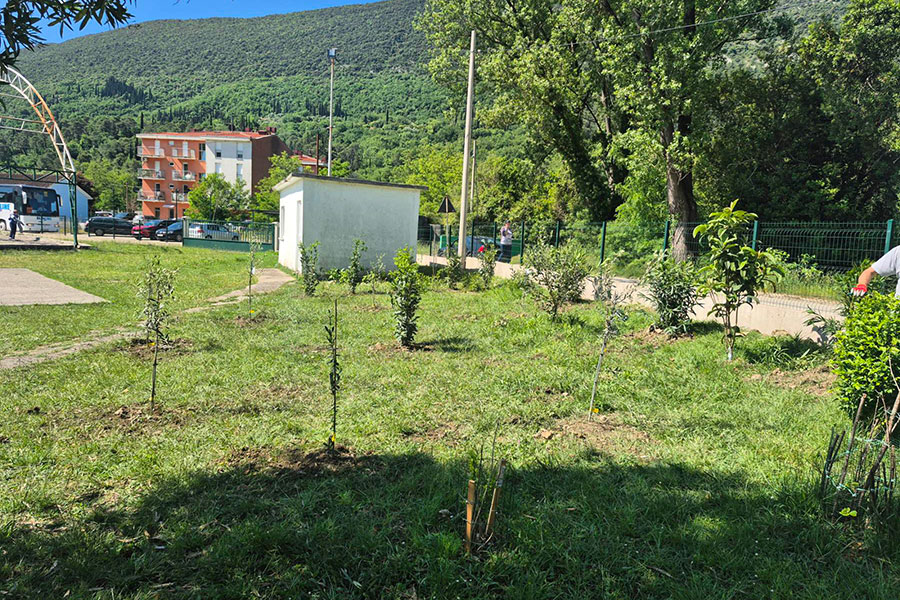 20 sadnica za 20 godina nezavisnosti