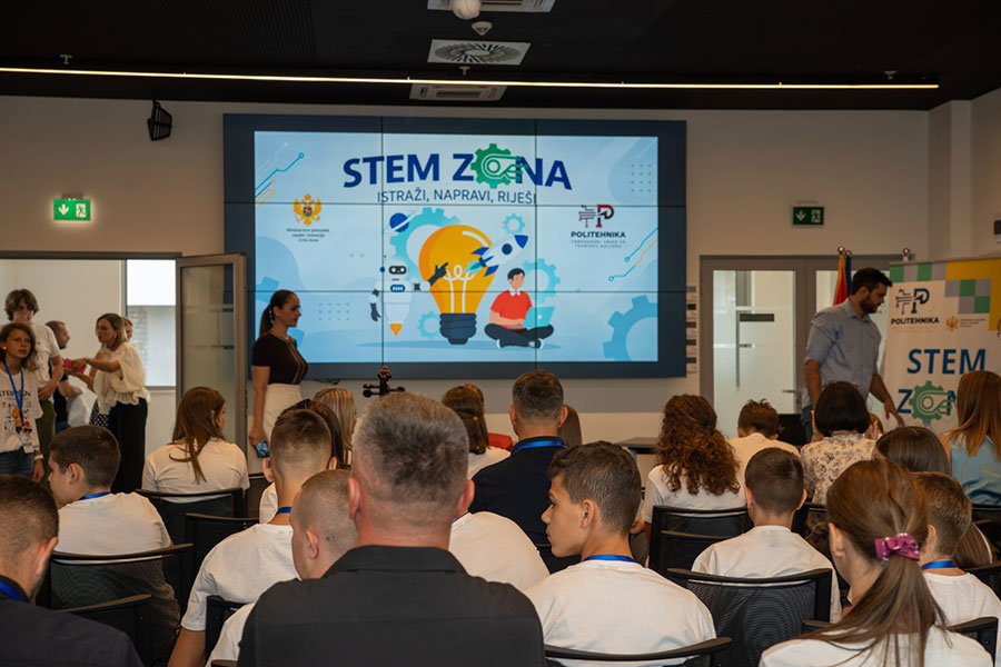 Stem-Zona